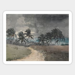 Storm, Bahamas by Winslow Homer Magnet